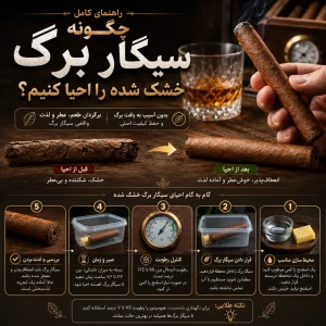 سیگار برگ